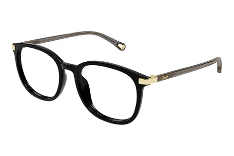 Glasses Chloé CH0247OA 001
