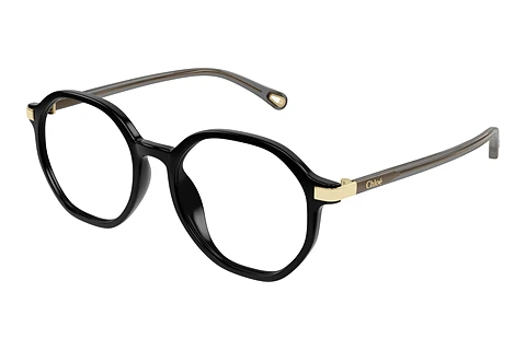 Glasses Chloé CH0249OA 001