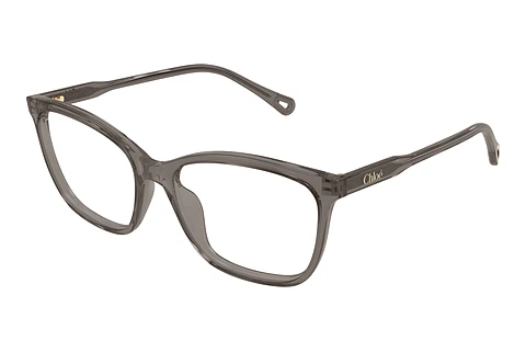 Glasses Chloé CH0318O 003