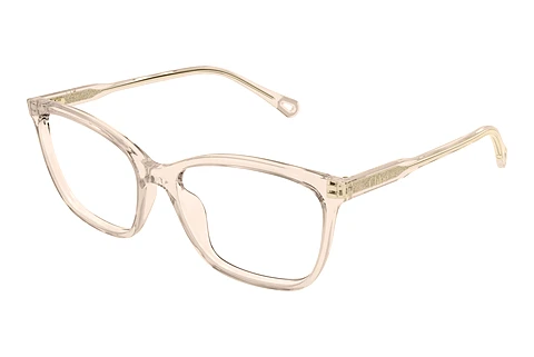 Glasses Chloé CH0318O 005