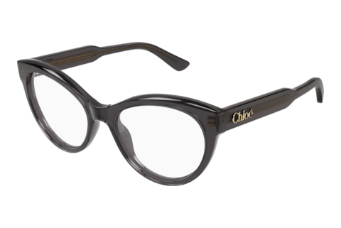 Glasses Chloé CH0342O 006