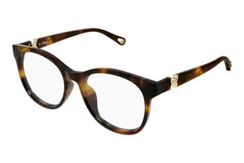 Glasses Chloé CH0375O 002