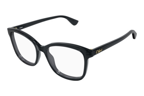 Glasses Chloé CH0393O 001