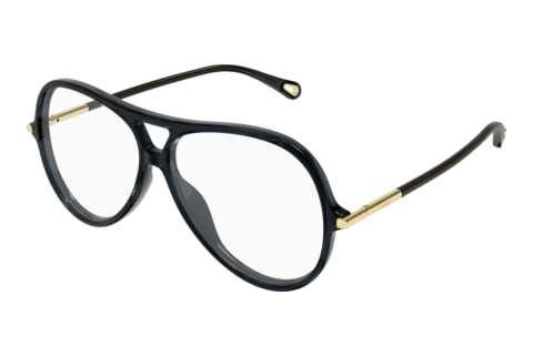 Glasses Chloé CH0398O 001