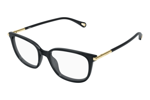 Glasses Chloé CH0400O 001