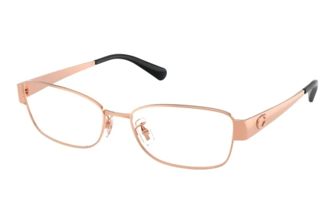 Glasses Coach HC5201 9407