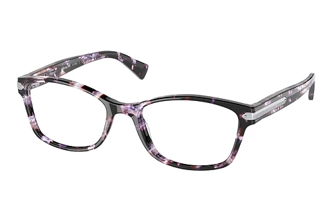 Glasses Coach HC6065 5548