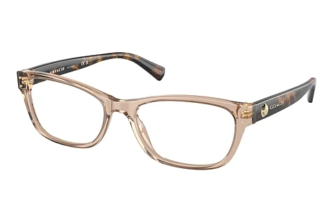 Glasses Coach HC6082 5561