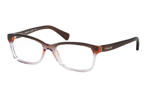 Glasses Coach HC6089 5401