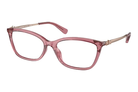 Glasses Coach HC6146U 5800