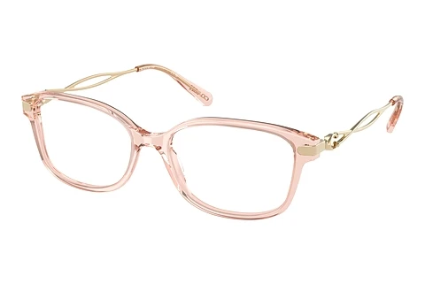 Glasses Coach HC6172 5668