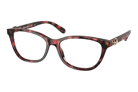 Glasses Coach HC6180 5658