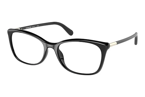 Glasses Coach HC6192U 5002