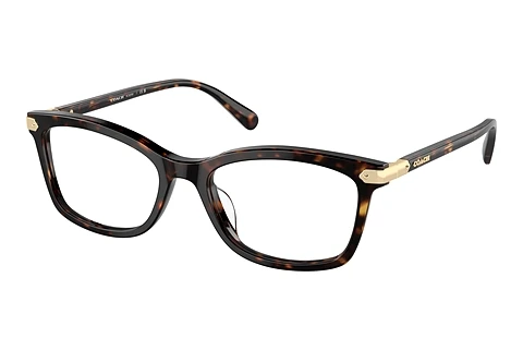 Glasses Coach HC6219U 5120