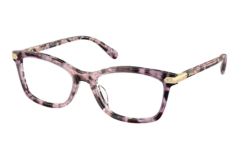 Glasses Coach HC6219U 5777