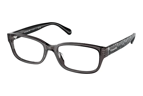 Glasses Coach HC6221U 5785