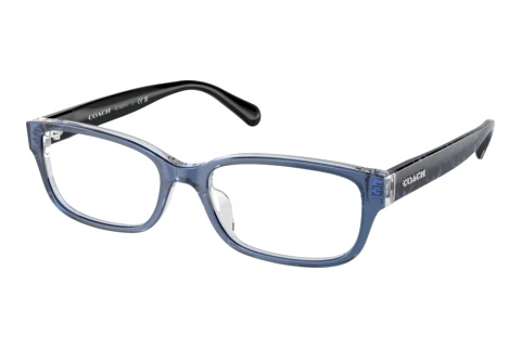 Glasses Coach HC6221U 5787
