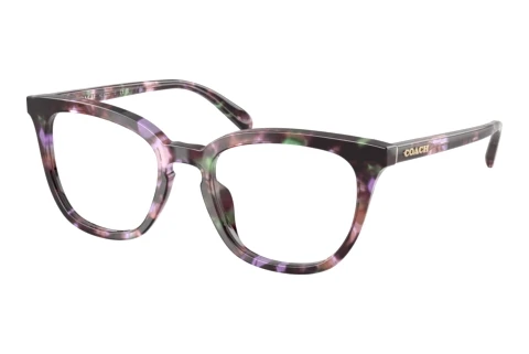Glasses Coach HC6222U 5843