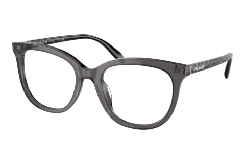 Glasses Coach HC6223U 5785