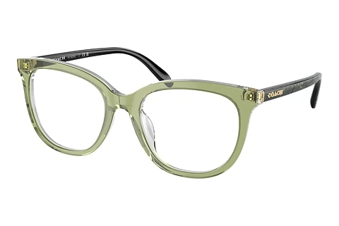 Glasses Coach HC6223U 5786