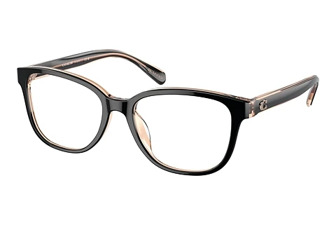 Glasses Coach HC6224U 5781