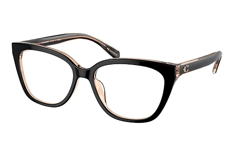 Glasses Coach HC6226U 5781