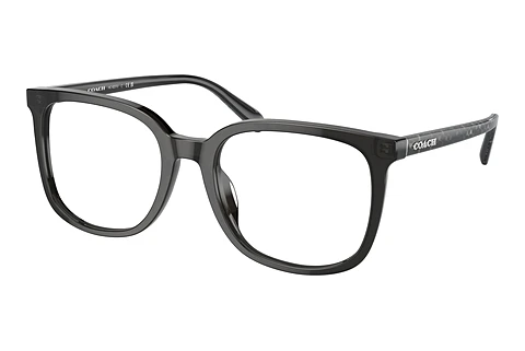 Glasses Coach HC6227U 5793