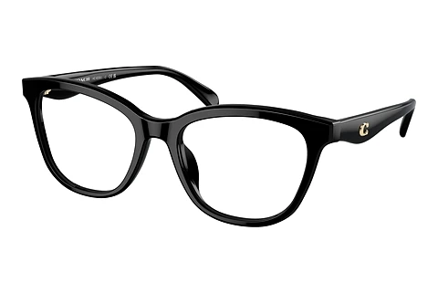 Glasses Coach HC6232U 5002
