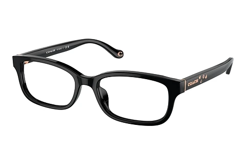 Glasses Coach HC6233U 5002