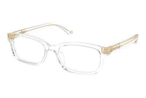 Glasses Coach HC6233U 5111