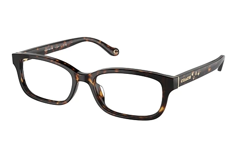 Glasses Coach HC6233U 5120