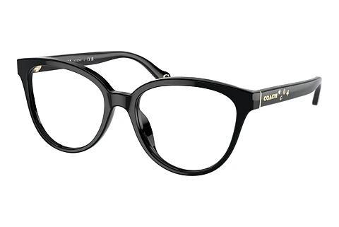 Glasses Coach HC6234U 5002