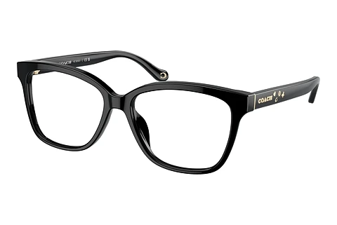 Glasses Coach HC6242U 5002