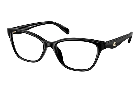 Glasses Coach HC6243U 5002