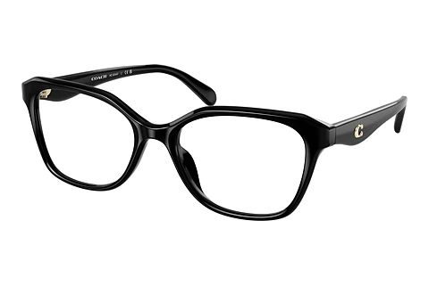 Glasses Coach CY043 (HC6244U 5002)