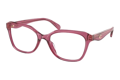 Glasses Coach CY043 (HC6244U 5824)