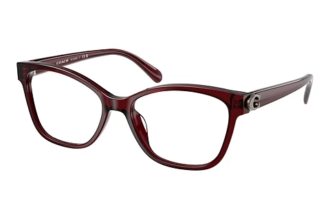 Glasses Coach HC6246U 5393