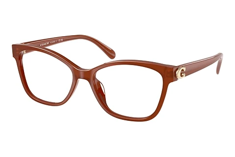 Glasses Coach HC6246U 5841