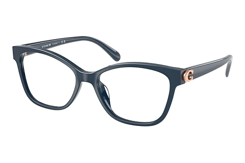 Glasses Coach HC6246U 5842