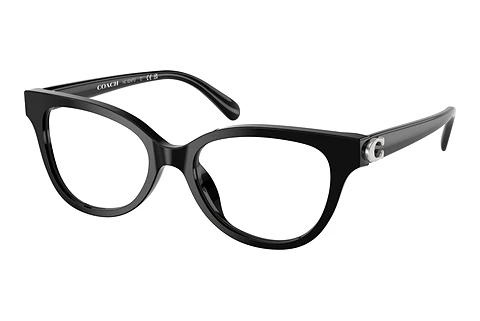 Glasses Coach HC6247U 5002