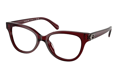 Glasses Coach HC6247U 5393