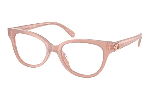 Glasses Coach HC6247U 5839