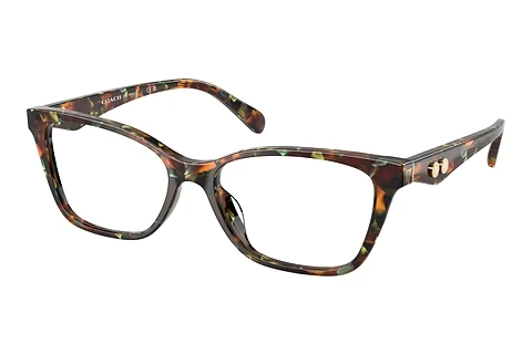 Glasses Coach HC6248U 5844