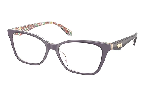 Glasses Coach HC6248U 5895