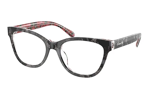 Glasses Coach HC6249U 5856