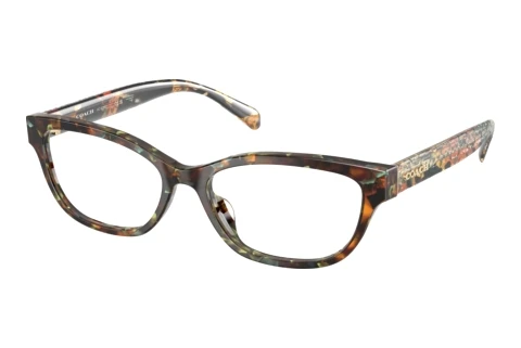 Glasses Coach HC6250U 5844