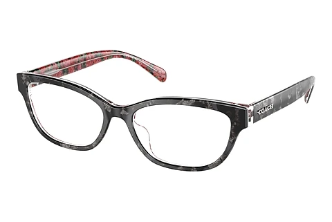 Glasses Coach HC6250U 5856