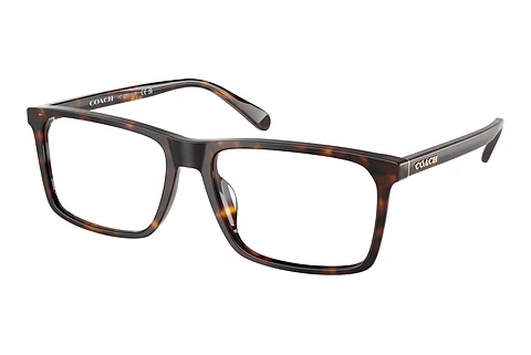 Glasses Coach HC6251U 5120