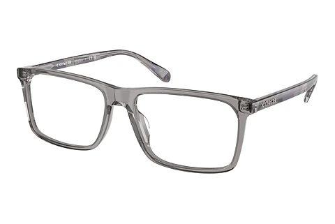 Glasses Coach HC6251U 5849