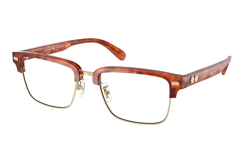 Glasses Coach HC6253 5774